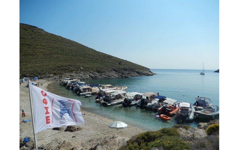 beach party