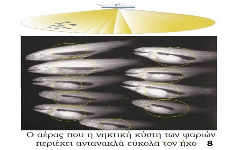 8-
