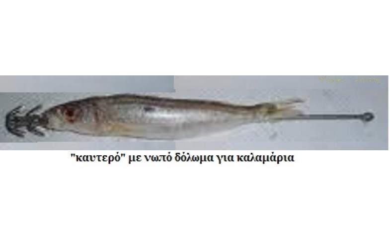 Φωτο 7