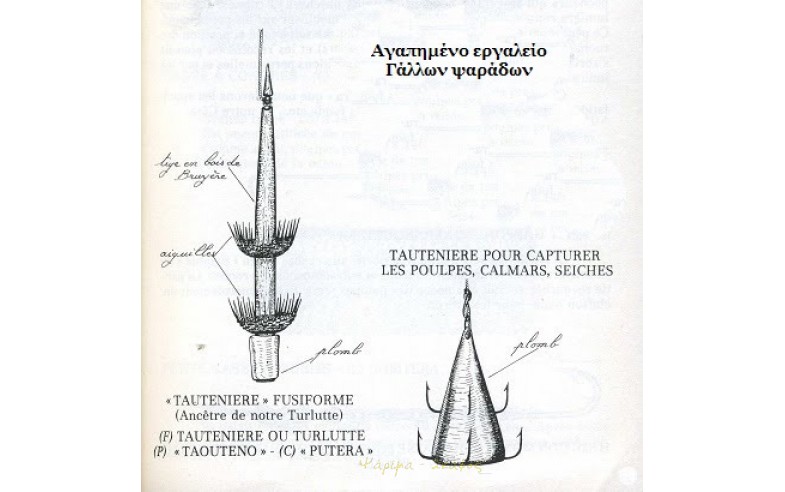 Φωτο 11