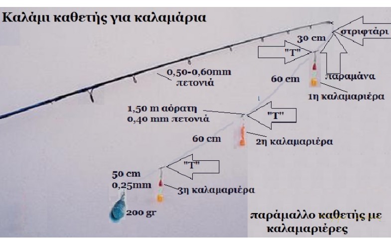 Φωτο 12