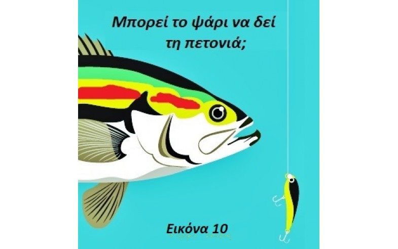 Εικόνα 10. Μπορεί το ψάρι να δει την πετονιά.