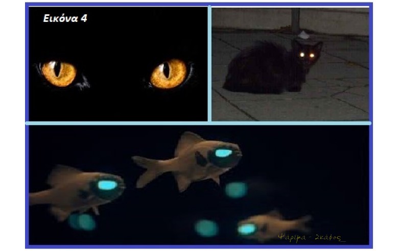 Εικόνα 4. Glow eyes.
