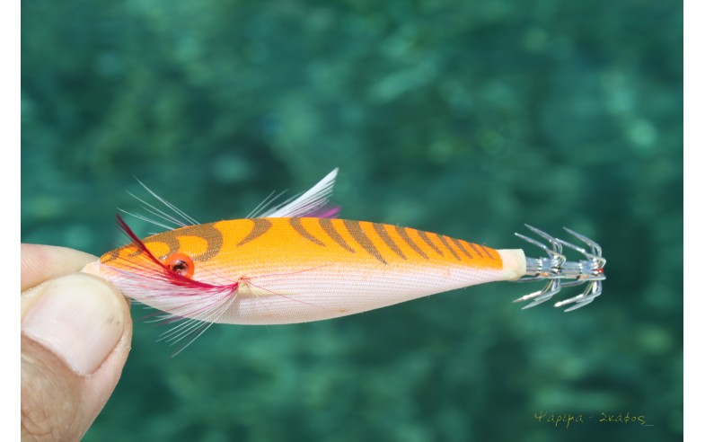 eging fishing ή απλά ψάρεμα σουπιάς από την ακτή